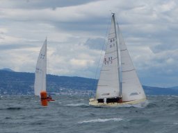 36e Coupe d&#039;Avant et d&#039;Argent 2009